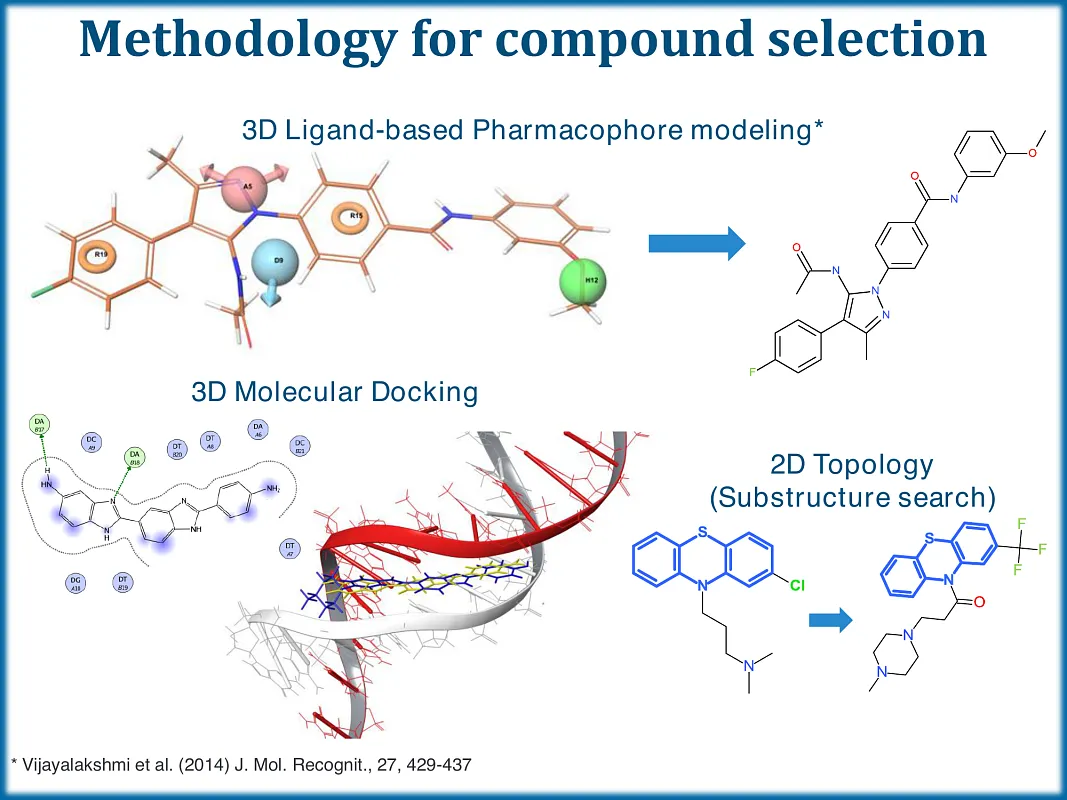  Nucleic acid ligands