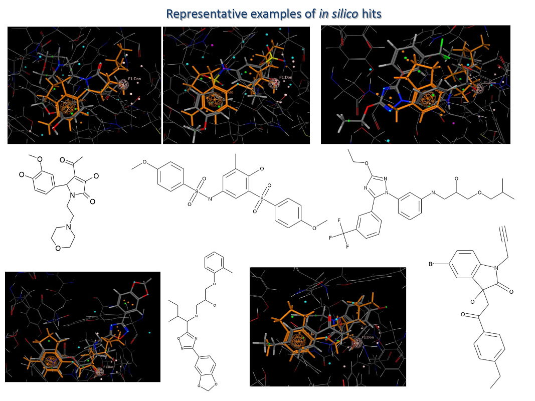  Beta 2 Adrenoligands Library