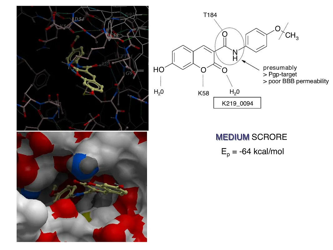  Hsp90-Targeted Library