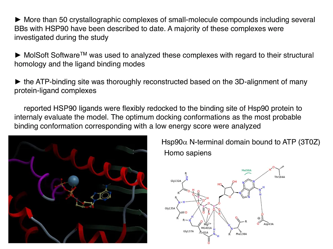  Hsp90-Targeted Library