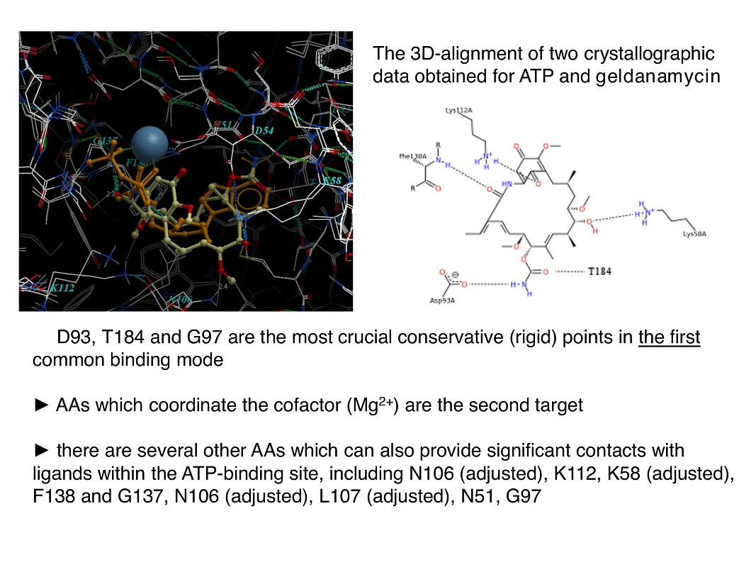  Hsp90-Targeted Library