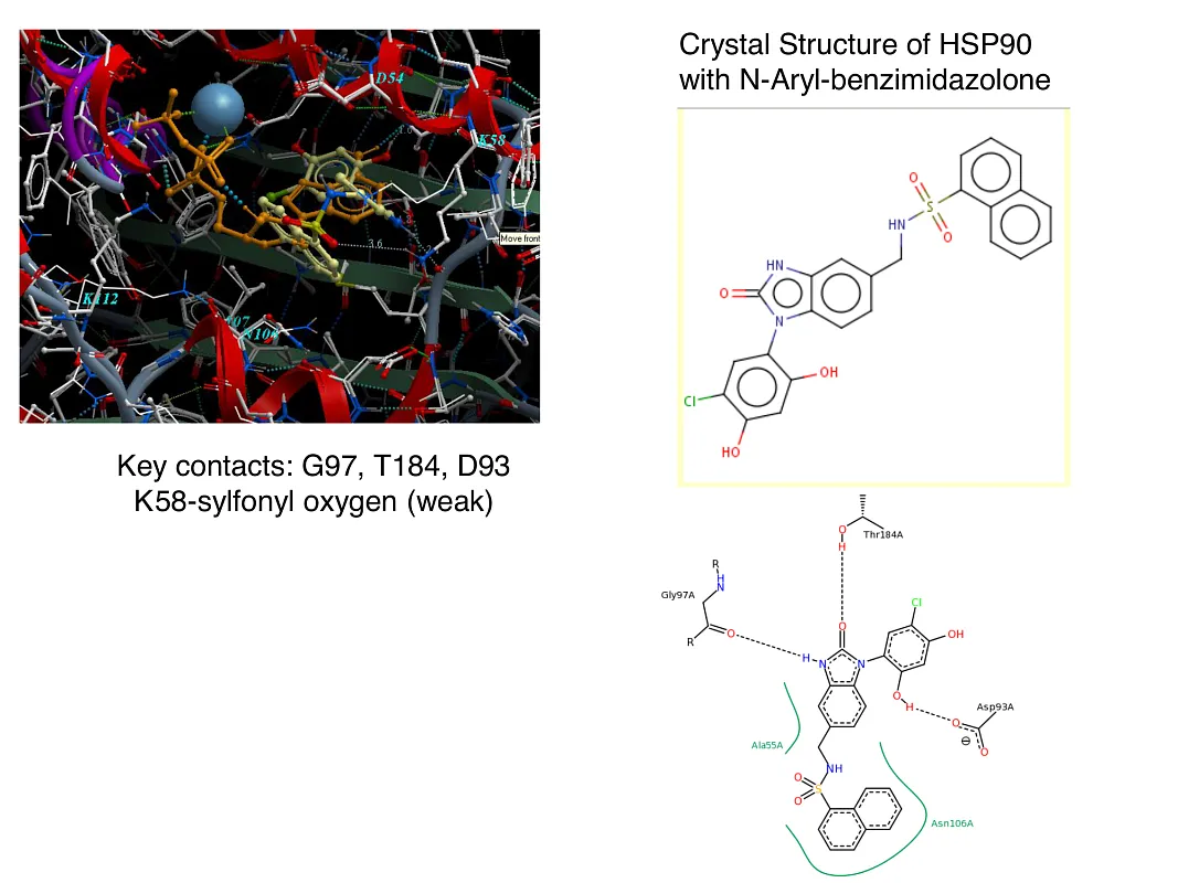  Hsp90-Targeted Library