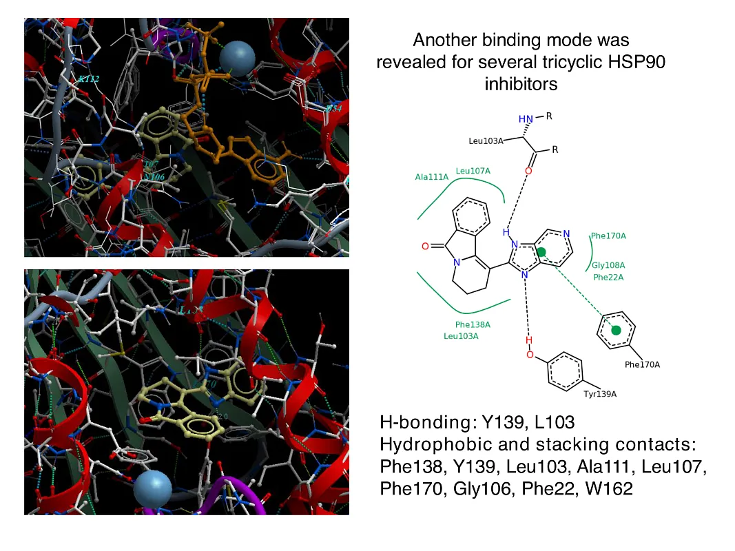  Hsp90-Targeted Library