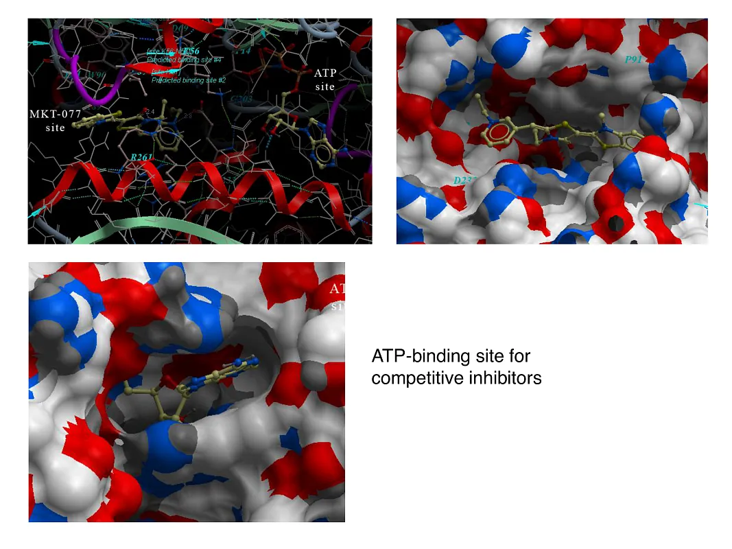  Hsp90-Targeted Library