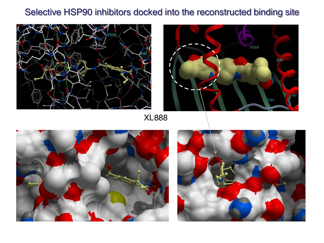  Hsp90-Targeted Library