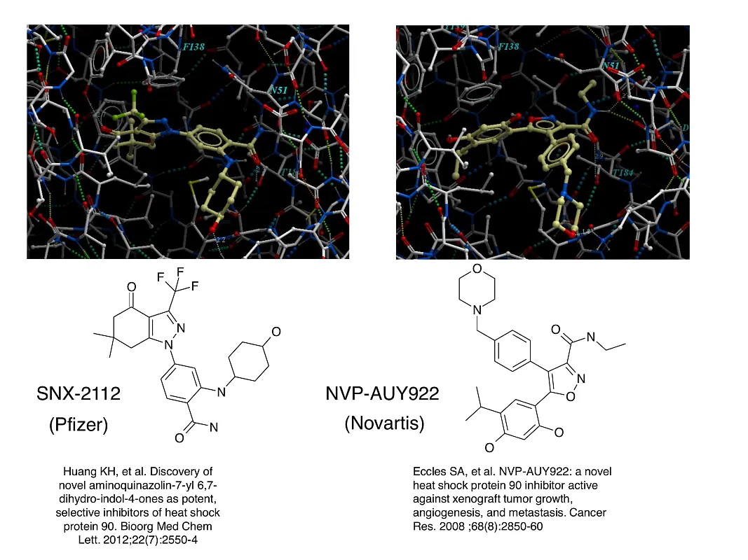  Hsp90-Targeted Library
