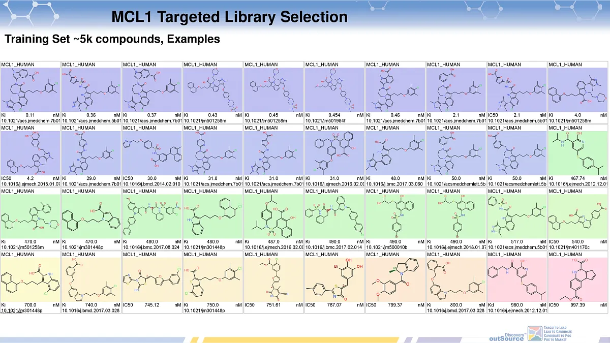  MCL1 Targeted Library Selection