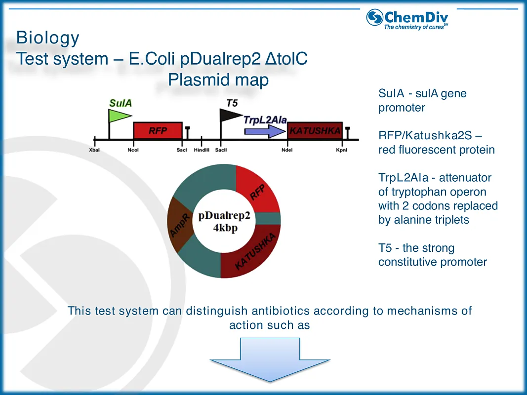 Antibacterial compounds library
