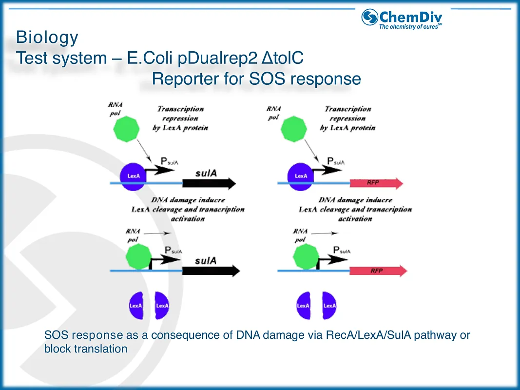  Antibacterial compounds library