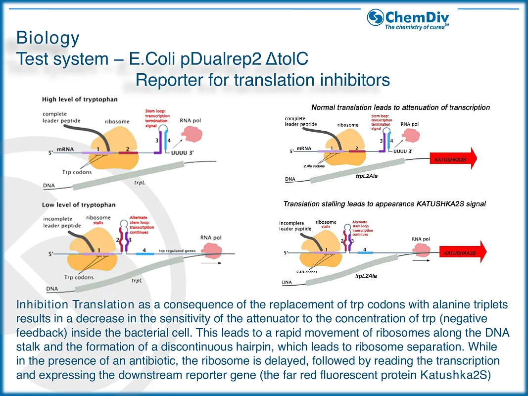  Antibacterial compounds library