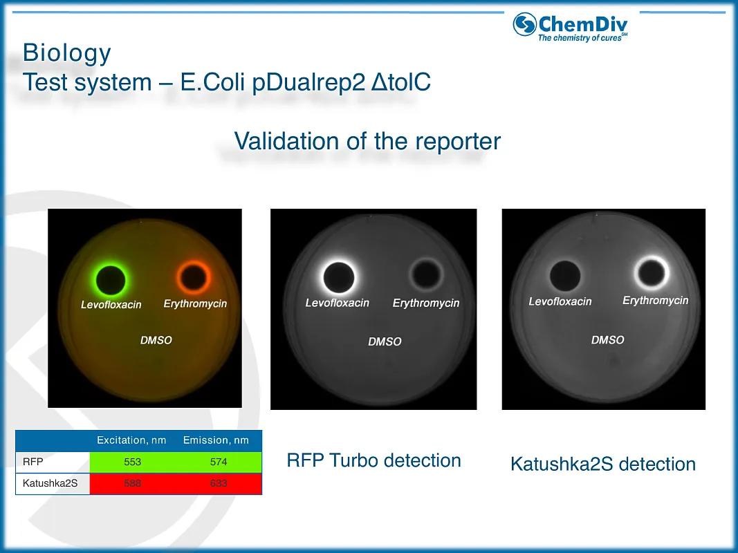  Antibacterial compounds library