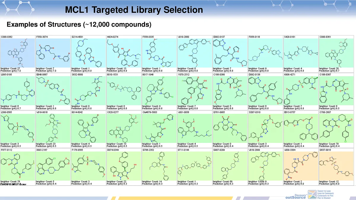 MCL1 Targeted Library Selection