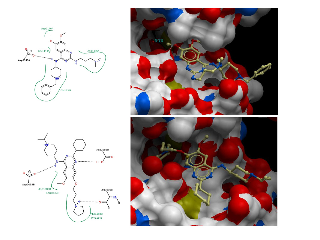  G9a-Inhibitors Library