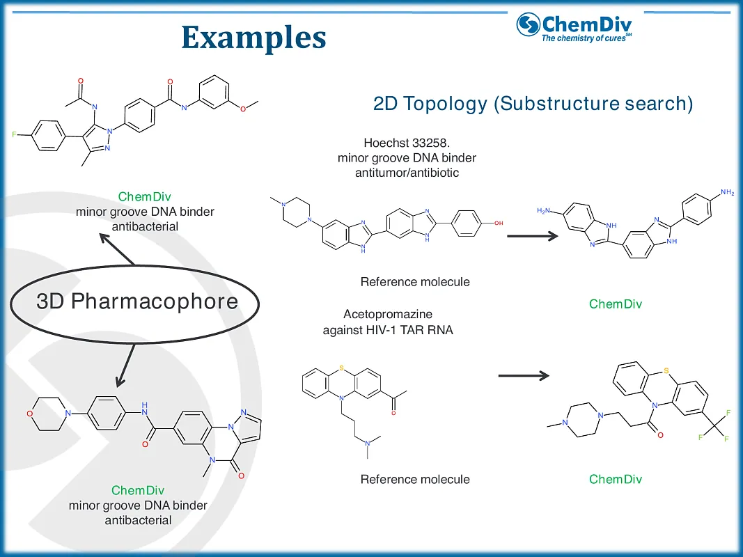  Nucleic acid ligands