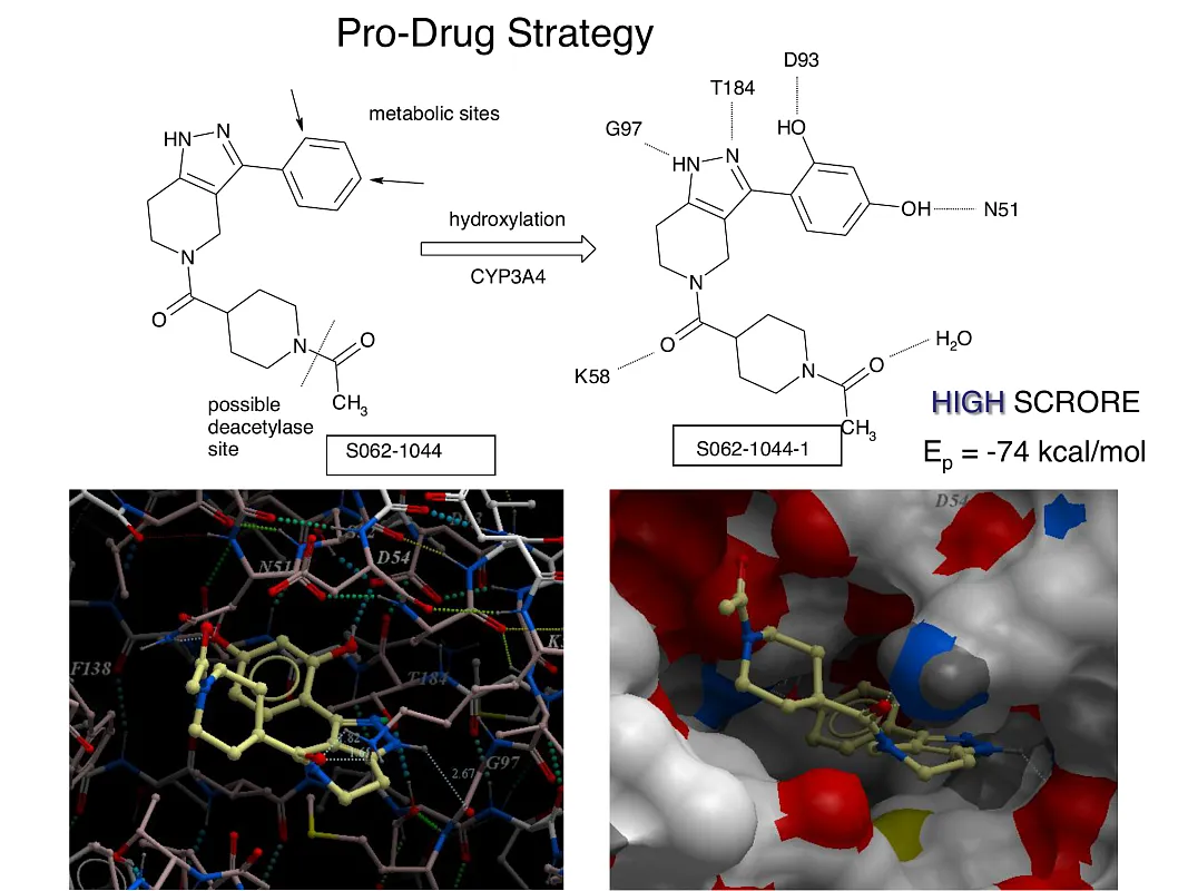  Hsp90-Targeted Library