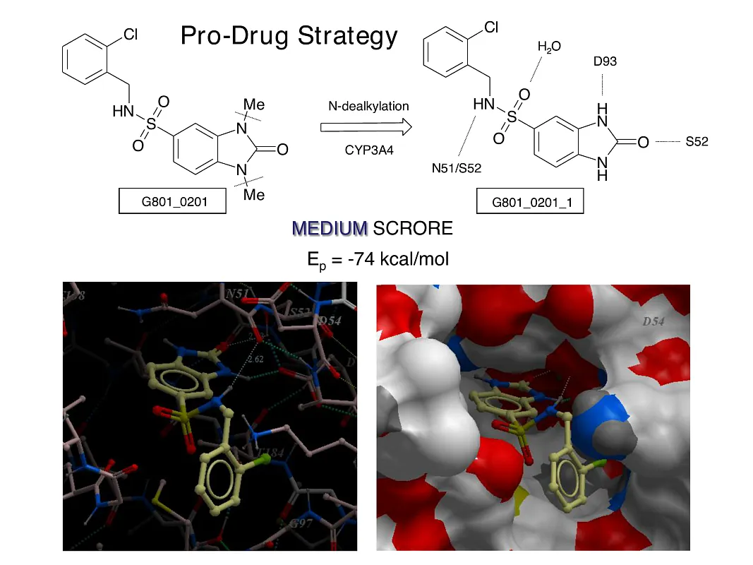  Hsp90-Targeted Library