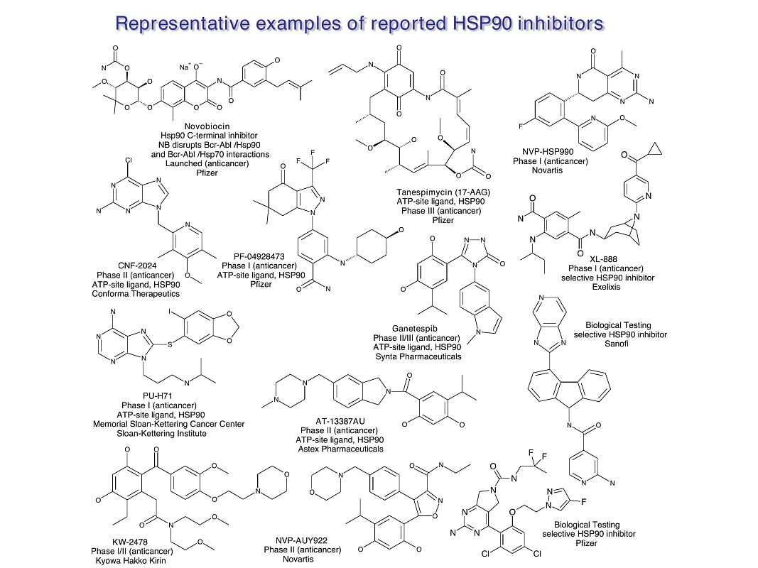  Hsp90-Targeted Library
