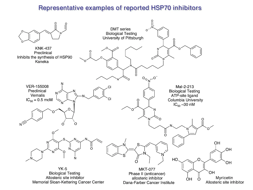  Hsp90-Targeted Library
