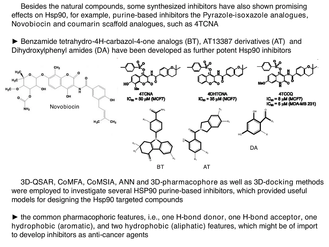  Hsp90-Targeted Library
