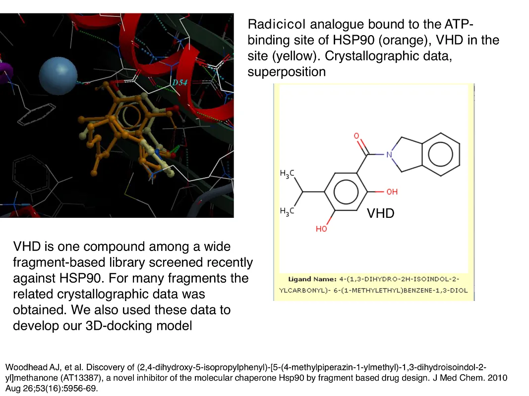  Hsp90-Targeted Library