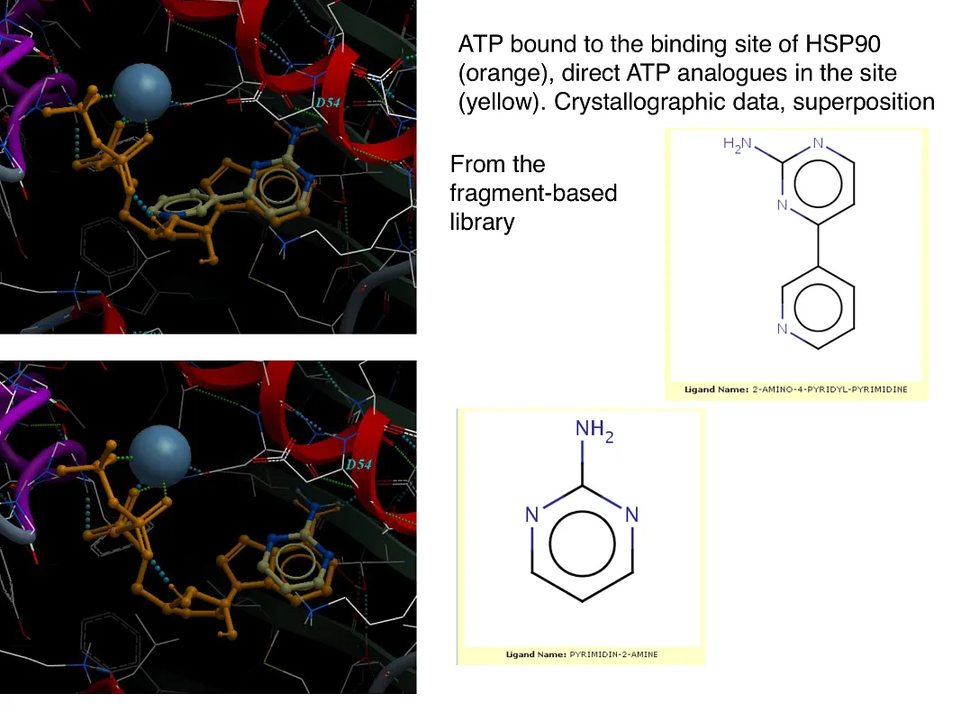  Hsp90-Targeted Library