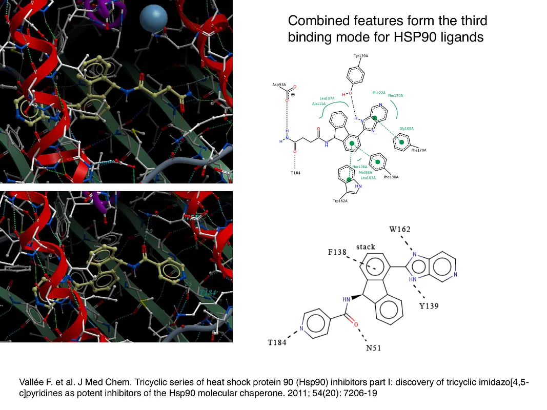  Hsp90-Targeted Library