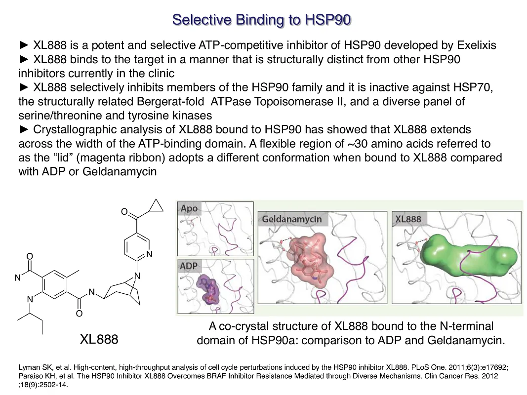  Hsp90-Targeted Library