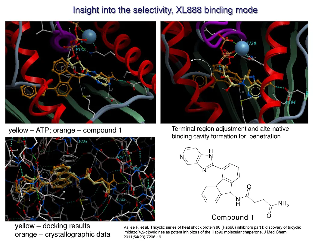  Hsp90-Targeted Library