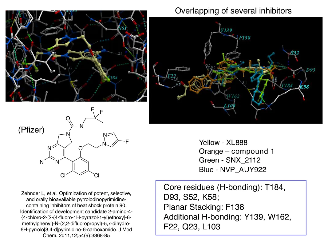  Hsp90-Targeted Library