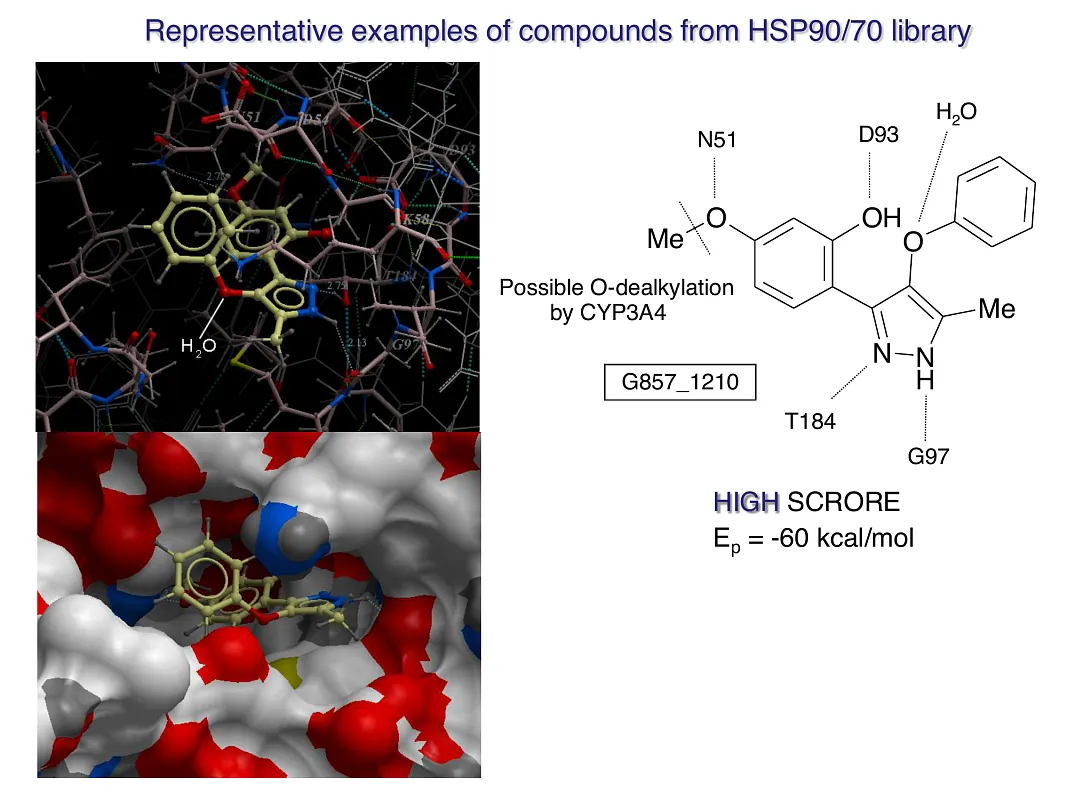  Hsp90-Targeted Library
