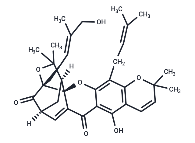 Isomorellinol