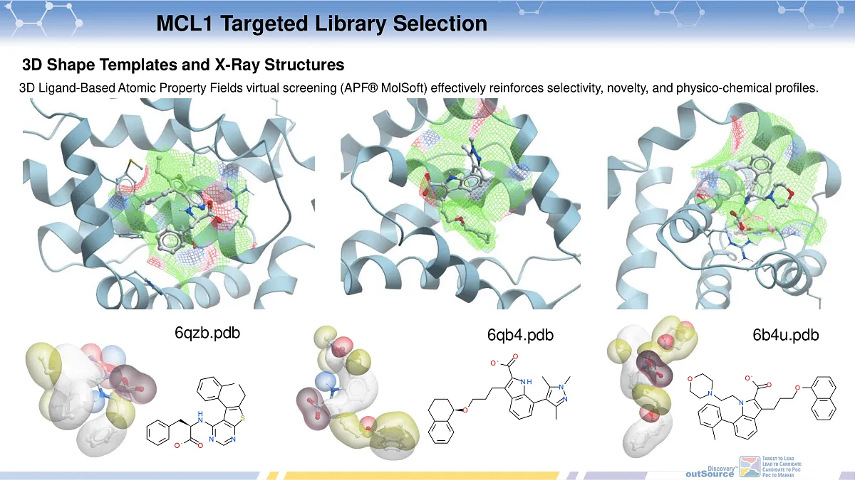  MCL1 Targeted Library Selection