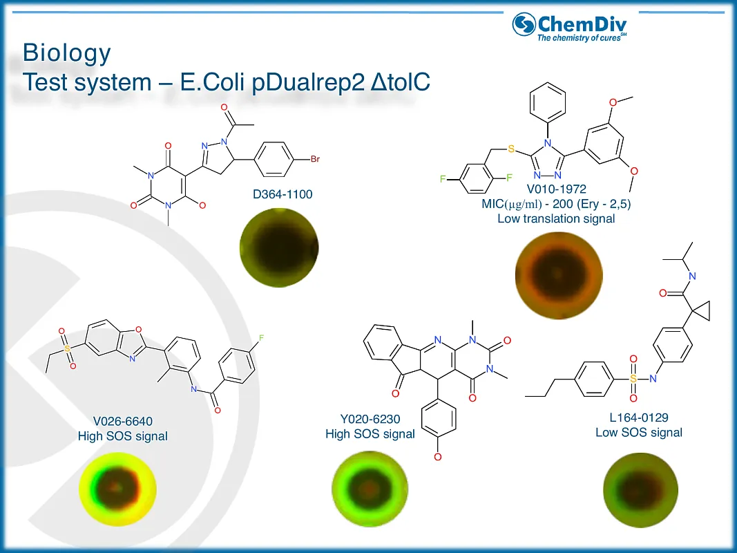  Antibacterial compounds library