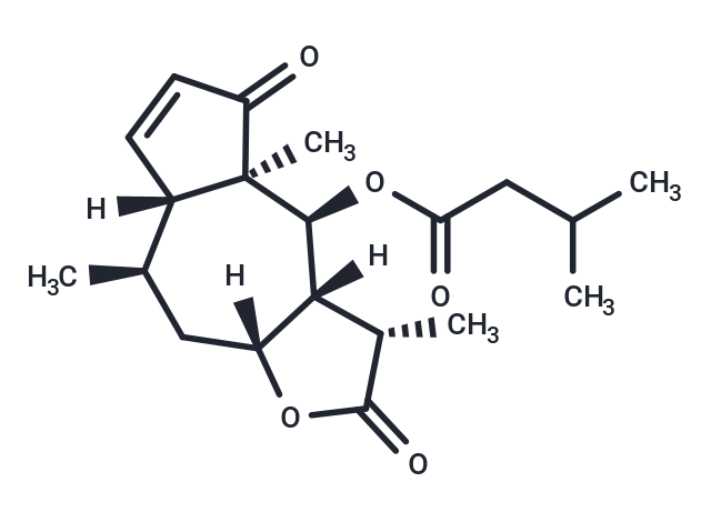 Arnicolide B