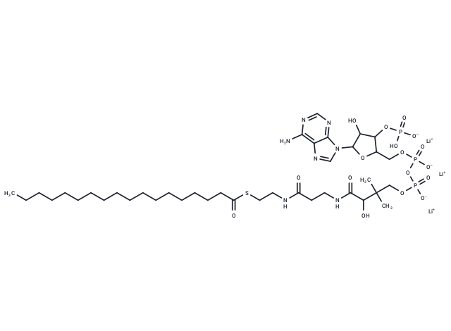 Stearoyl coenzyme A lithium