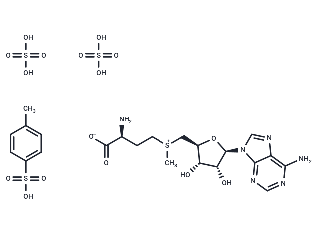 S-Adenosyl-L-methionine disulfate tosylate (Standard)