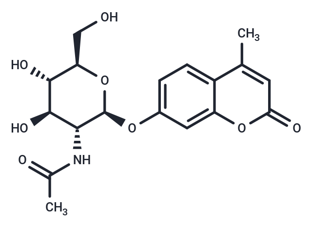 4-Methylumbelliferyl-2-acetamido-2-deoxy-β-D-Glucopyranoside