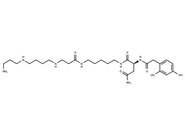 Lactoferrin
