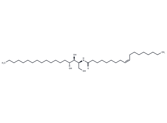 Ceramides Mixture