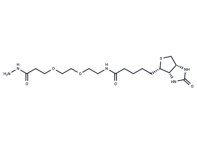 (+)-Biotin-PEG2-hydrazide