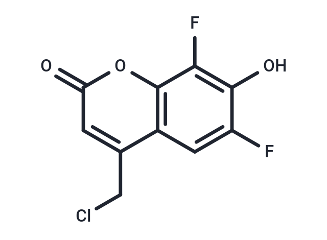 CellTracker Blue CMF2HC Dye