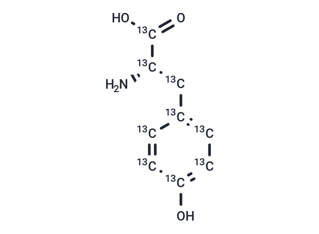 L-Tyrosine-13C9
