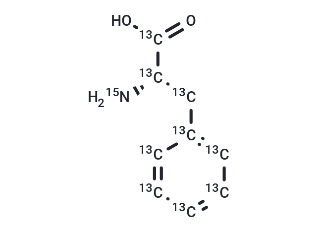 L-Phenylalanine-13C9,15N