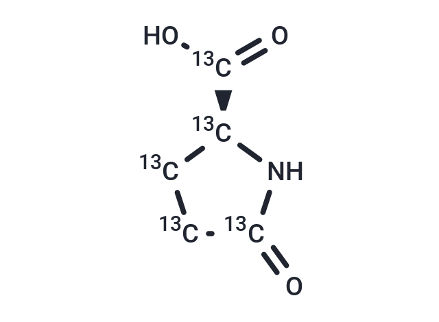 L-Pyroglutamic acid-13C5