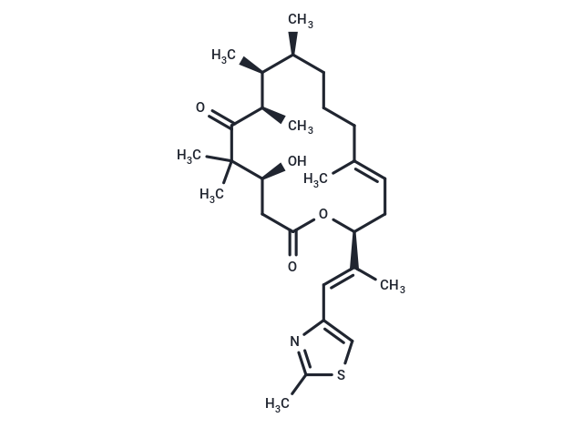 Epothilone D