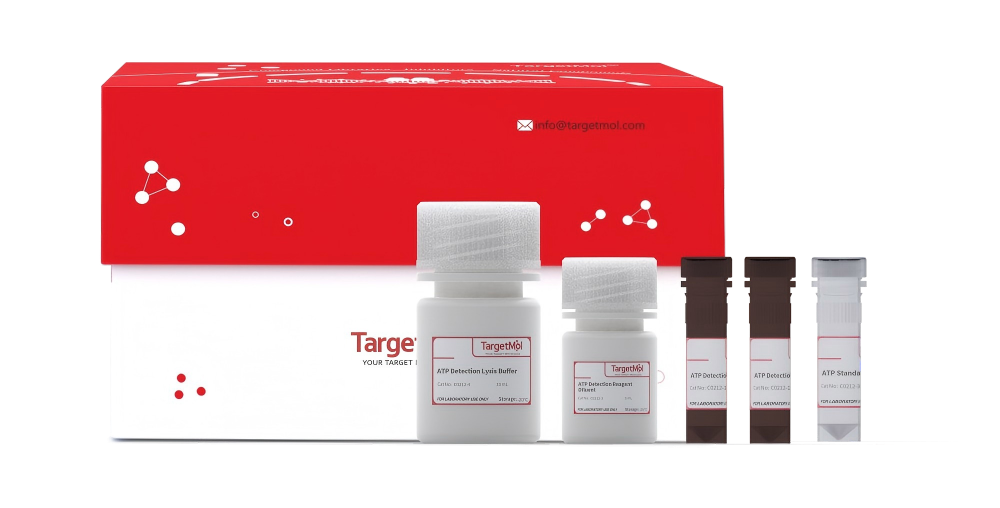 ATP Assay Kit