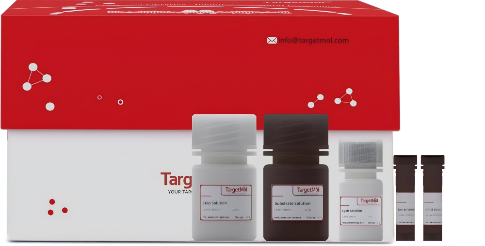 LDH Cytotoxicity Assay Kit