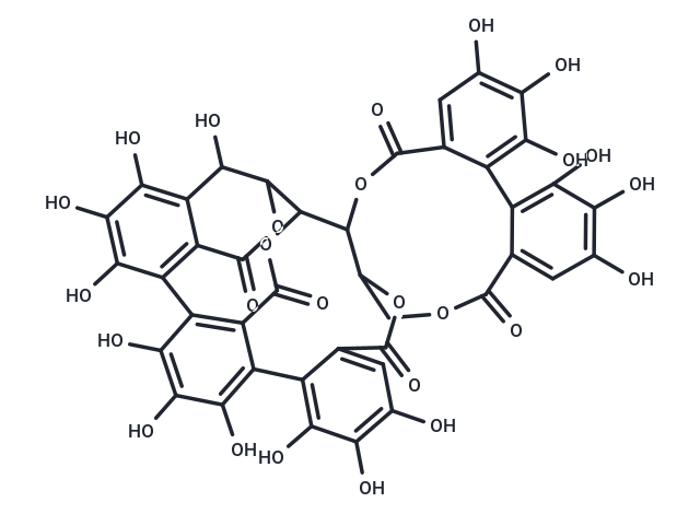 Castalagin (Standard)