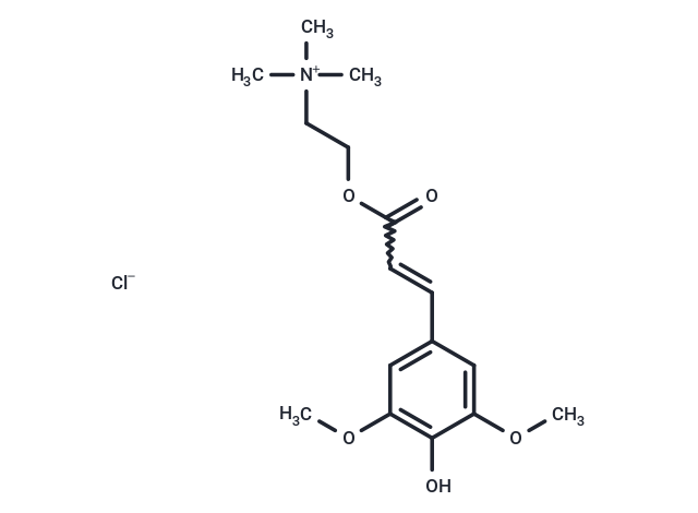Sinapine chloride (Standard)