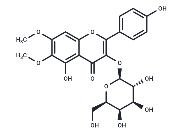 Eupalitin 3-galactoside (Standard)